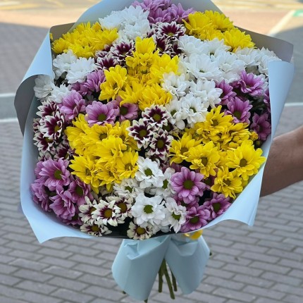 Букет из разноцветных хризантем - купить с доставкой в Брянске